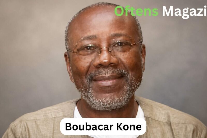 Who Was Boubacar Kone? His Career, Family and Legacy in African Art 